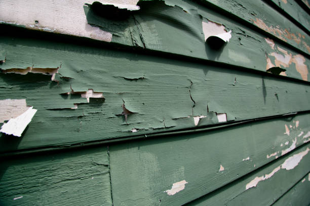Best Retail Junk Removal  in Delevan, NY