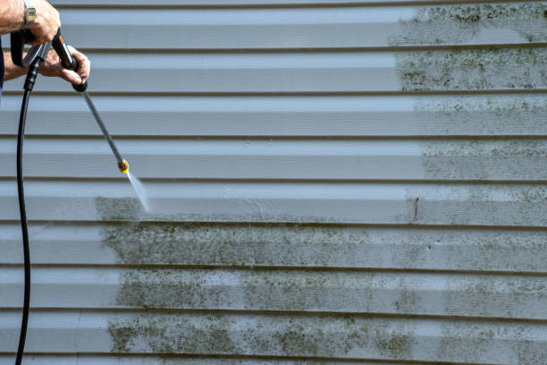 Best Same-Day Junk Removal Services  in Delevan, NY