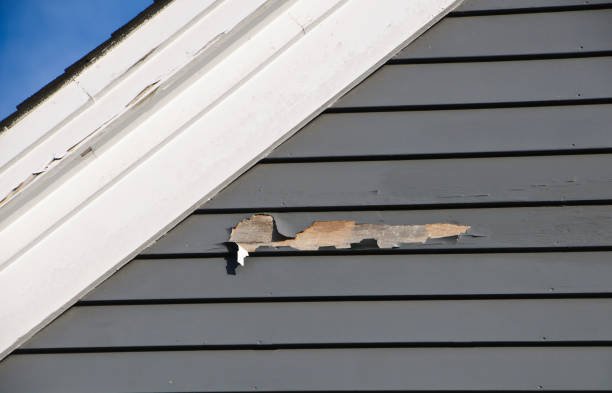 Best Shed Removal  in Delevan, NY